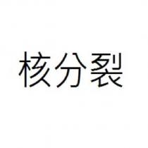 核分裂