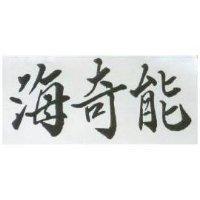 海奇能