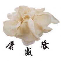 康盛發及圖