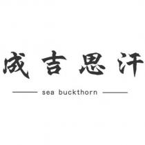 成吉思汗 sea buckthorn