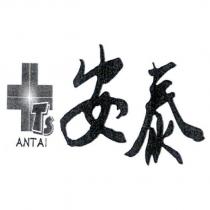 TS ANTAI 安泰