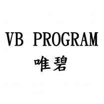 VB PROGRAM 唯碧