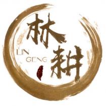 林耕 LIN GENG 及圖