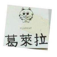 葛萊拉及圖 PLAYCAT 