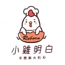 小雞明白不想長大的心 Reborn 及圖