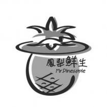 鳳梨鮮生 Mr.Pineapple 及圖