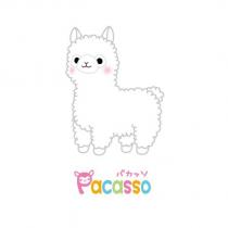 Pacasso パカッソ及圖