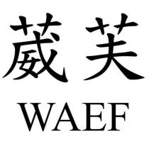 葳芙 WAEF