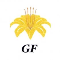 GF 及圖