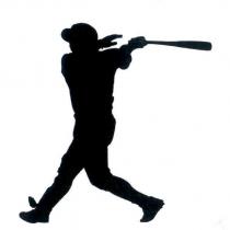 縱華運動行銷有限公司標章