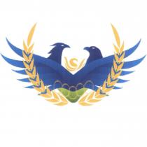 雙鳥展翅設計圖