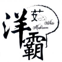 洋菇霸 White Mushroom 及圖