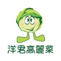 洋君高麗菜及圖