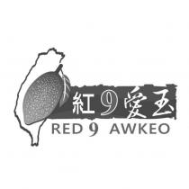 紅 9 愛玉 RED 9 AWKEO 及圖