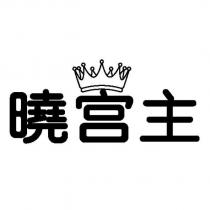 曉宮主設計圖