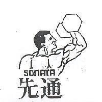 先通 SONATA 及圖 