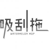 吸刮拖 WATERMELONMOP 設計字