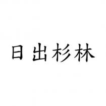 日出杉林