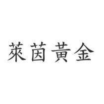 萊茵黃金