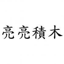 亮亮積木
