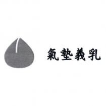 氣墊義乳及圖
