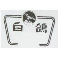 白鴿及圖