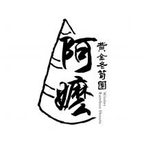 阿嬤黃金冬筍園 Winter Bamboo Shoots 及圖
