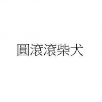 圓滾滾柴犬