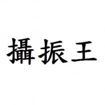 攝振王