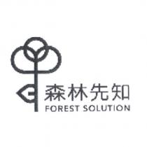 森林先知 FOREST SOLUTION 及圖