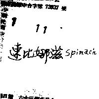 速比娜滋 SPINACH 