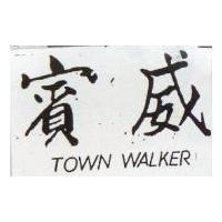 賓威 TOWN WALKER 