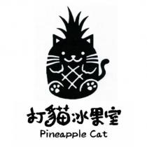 打貓冰果室 Pineapple Cat 及圖