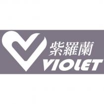 紫羅蘭 VIOLET 及圖
