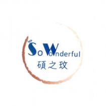 碩之玟 So Wonderful 及圖