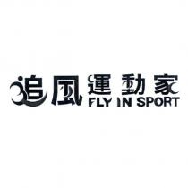 追風運動家 FLY IN SPORT 設計圖