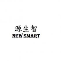 源生智 NEW SMART