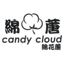 綿花蓎 candy cloud