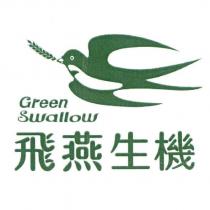 飛燕生機 Green Swallow 及圖