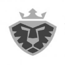 金斯頓公司代表圖