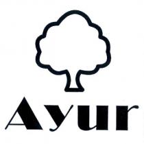 Ayur
