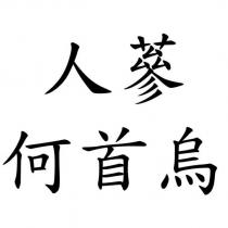 人蔘何首烏
