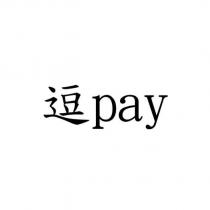逗 pay