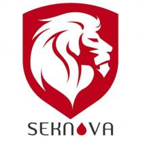 紅色獅子頭及 SEKNOVA