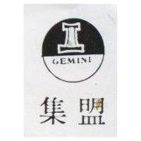 集盟及圖 GEMINI 