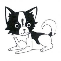 趴趴狗圖
