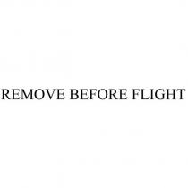 REMOVE BEFORE FLIGHT