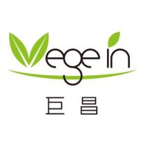 巨昌 VEGE IN 及其文字設計字及圖