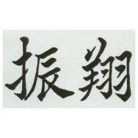 振翔