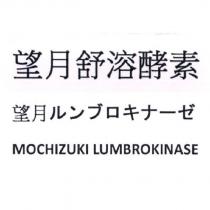 望月舒溶酵素 望月ルンブロキナ一ゼ MOCHIZUKI LUMBROKINASE
